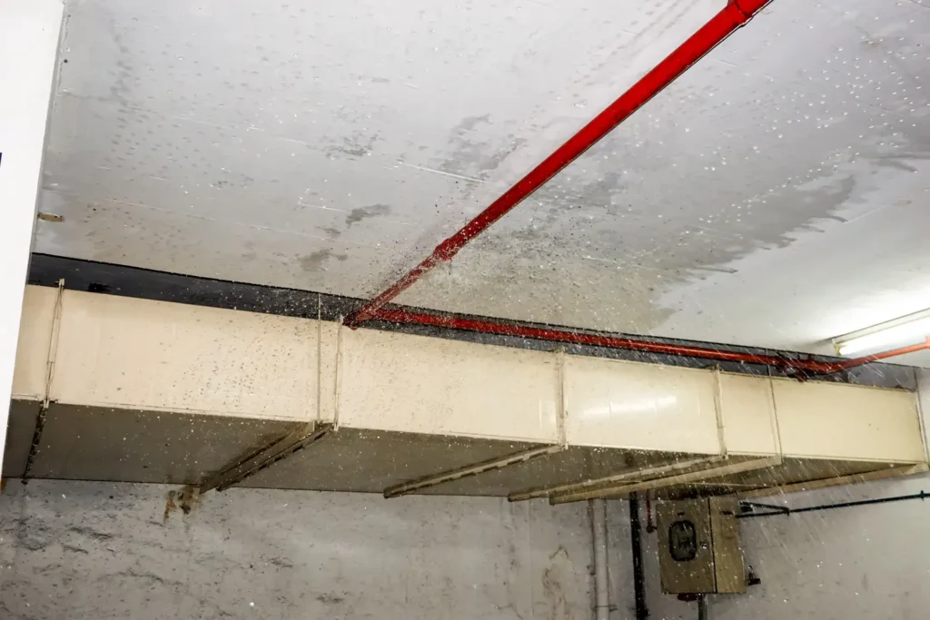 Burst pipe flooding basement with water damage showing severe plumbing emergency