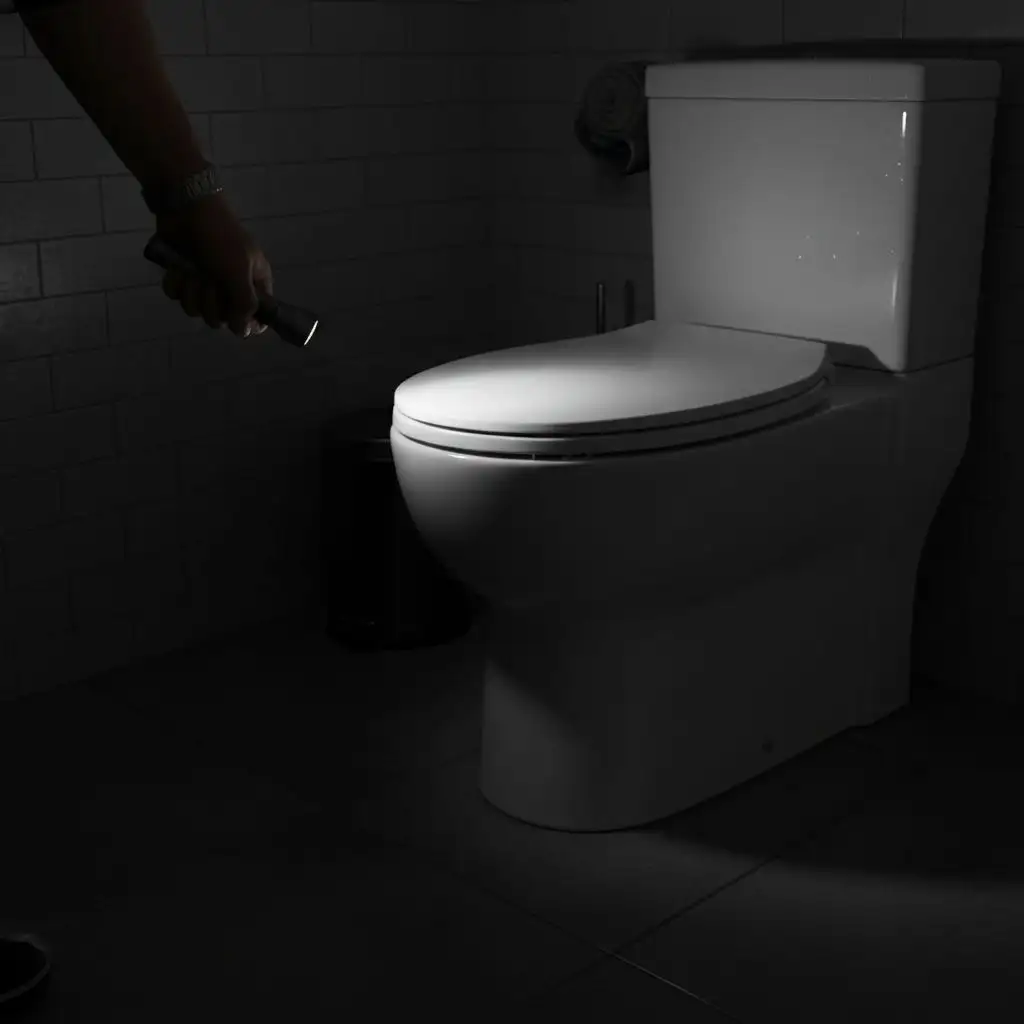 A flashlight on a toilet shows you can you flush the toilet when the power is out.