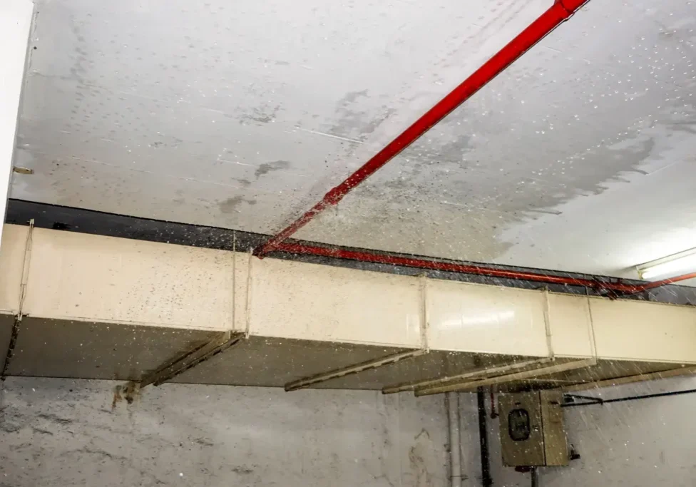 Burst pipe flooding basement with water damage showing severe plumbing emergency